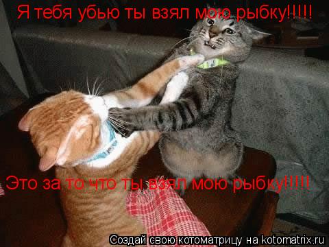 Котоматрица: Я тебя убью ты взял мою рыбку!!!!! Это за то что ты взял мою рыбку!!!!!