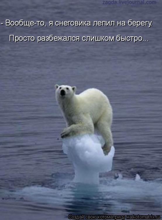 - Вообще-то, я снеговика лепил на берегу. Просто разбежался слишком быстро...... Котоматрица: - Вообще-то, я снеговика лепил на берегу. Просто разбежался слишком быстро...