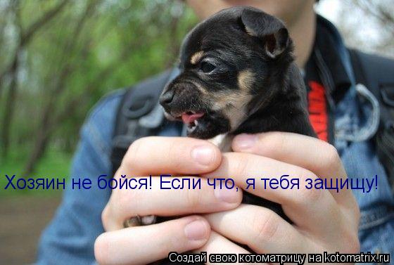 Хозяин не бойся! Если что, я тебя защищу!... Котоматрица: Хозяин не бойся! Если что, я тебя защищу!