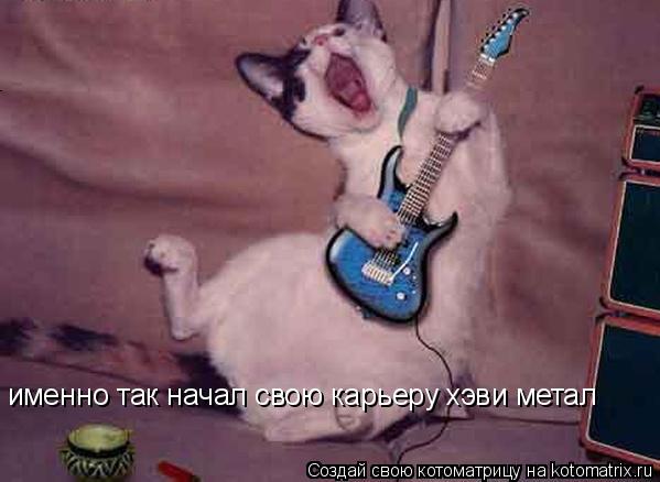 Котоматрица: именно так начал свою карьеру хэви метал