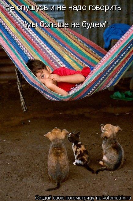 Котоматрица: Не спущусь и не надо говорить "мы больше не будем"...