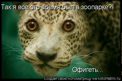 Так я все это время был в зоопарке?! Офигеть...... Котоматрица: Так я все это время был в зоопарке?! Офигеть...