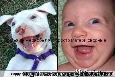 Братья из Чернобыля... просто матери сводные... Котоматрица: Братья из Чернобыля... просто матери сводные
