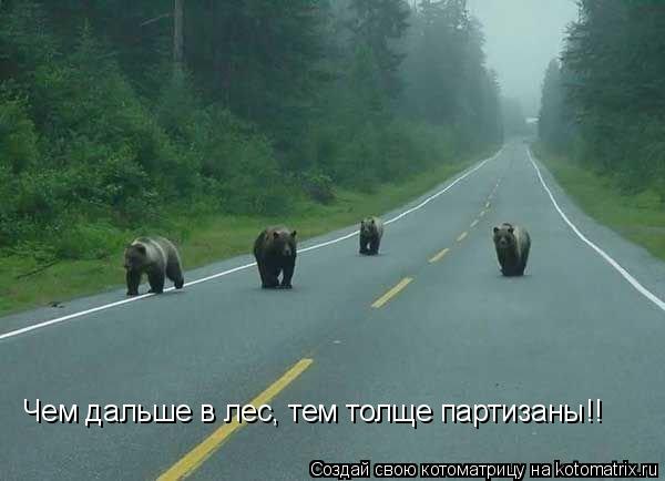 Котоматрица: Чем дальше в лес, тем толще партизаны!!