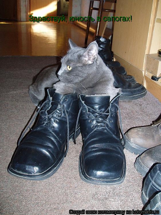 Здраствуй, юность в сапогах!... Котоматрица: Здраствуй, юность в сапогах!