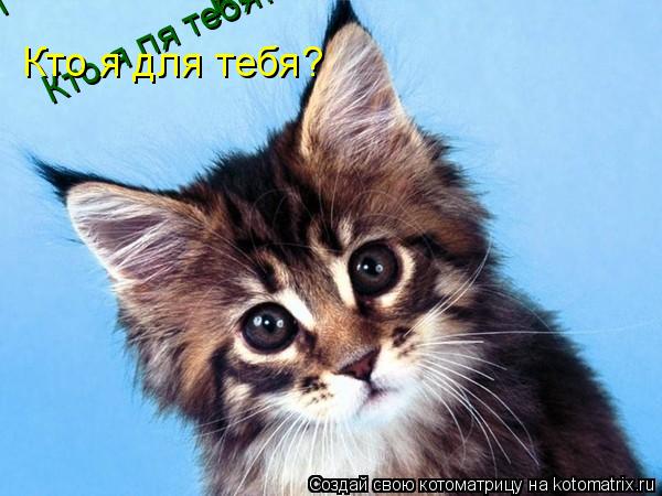 Кто я ля тебя? Кто я ля тебя? Кто я ля тебя? Кто я для тебя?... Котоматрица: Кто я ля тебя? Кто я ля тебя? Кто я ля тебя? Кто я для тебя?