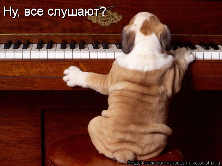 Ну, все слушают?... Котоматрица: Ну, все слушают?