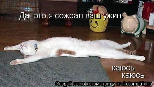 Да, это я сожрал ваш ужин каюсь каюсь... Котоматрица: Да, это я сожрал ваш ужин каюсь каюсь