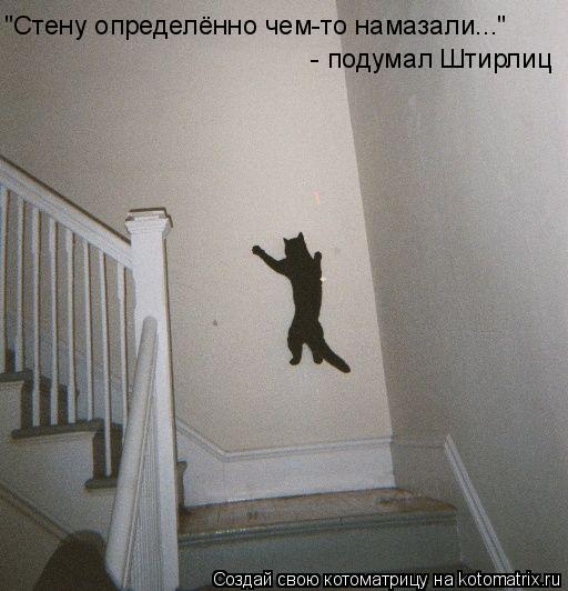 "Стену определённо чем-то намазали..." - подумал Штирлиц... Котоматрица: "Стену определённо чем-то намазали..." - подумал Штирлиц
