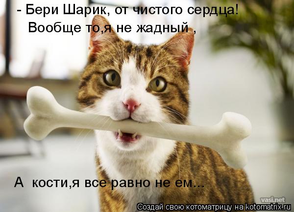 А кости,я все равно не ем... - Бери Шарик, от чистого сердца! Вообще то,я не жадный ,... Котоматрица: А кости,я все равно не ем... - Бери Шарик, от чистого сердца! Вообще то,я не жадный ,