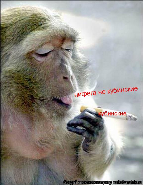 Котоматрица: нифега не кубинские  кубинские