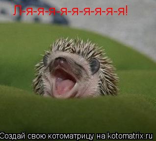 Л-я-я-я-я-я-я-я-я-я!... Котоматрица: Л-я-я-я-я-я-я-я-я-я!