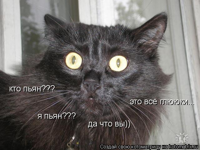 кто пьян??? я пьян??? да что вы)) это всё глююки...... Котоматрица: кто пьян??? я пьян??? да что вы)) это всё глююки...