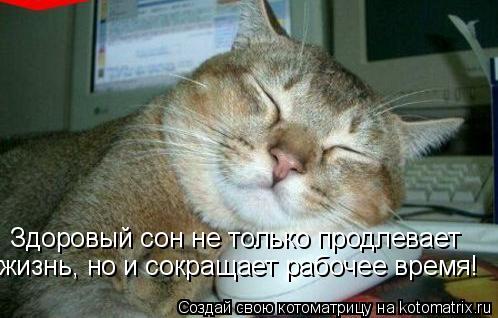 Здоровый сон не только продлевает жизнь, но и сокращает рабочее время!... Котоматрица: Здоровый сон не только продлевает жизнь, но и сокращает рабочее время!