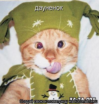 дауненок... Котоматрица: дауненок