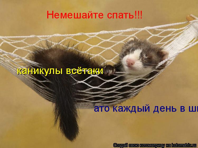 Немешайте спать!!! каникулы всётаки ато каждый день в школу, в школу!!! Оххххх!!!!!!!!!!!!!!!... Котоматрица: Немешайте спать!!! каникулы всётаки ато каждый день в школу, в школу!!! Оххххх!!!!!!!!!!!!!!!