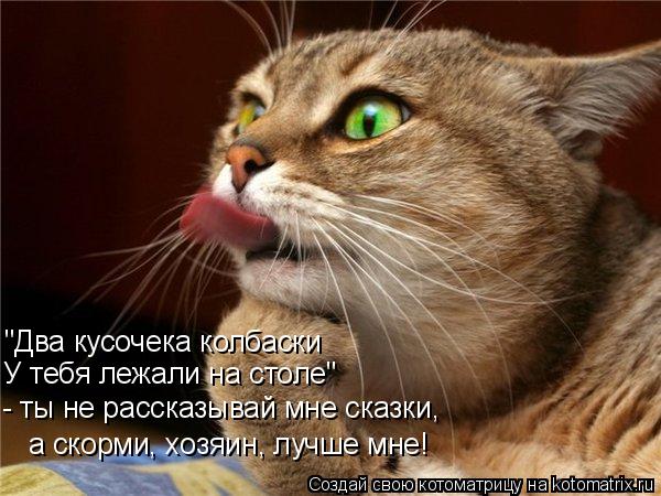 "Два кусочека колбаски У тебя лежали на столе" - ты не рассказывай мне сказки, а скорми, хозяин, лучш... Котоматрица: "Два кусочека колбаски У тебя лежали на столе" - ты не рассказывай мне сказки, а скорми, хозяин, лучше мне!