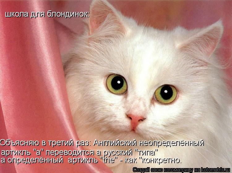 Объясняю в третий раз: Английский неопределённый артикль "a" переводится а русский "типа" а определё... Котоматрица: Объясняю в третий раз: Английский неопределённый артикль "a" переводится а русский "типа" а определённый артикль "the" - как "конкретно. школа