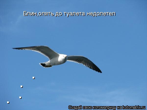 . . . . Блин,опять до туалета недолетел... Котоматрица: . . . . Блин,опять до туалета недолетел