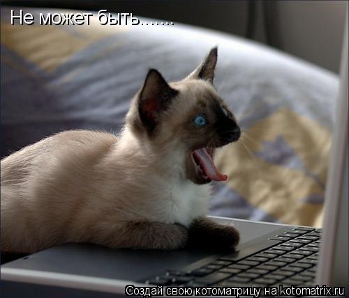 Не может быть.......... Котоматрица: Не может быть.......