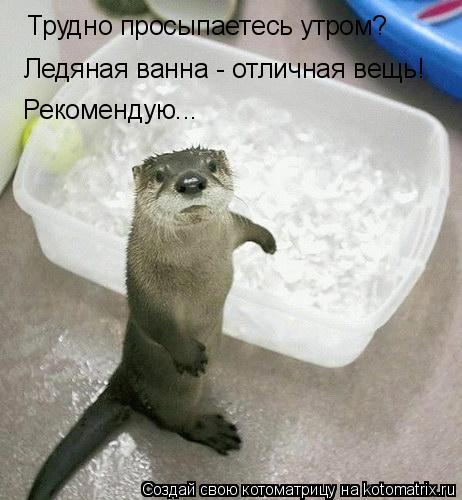 Трудно просыпаетесь утром? Ледяная ванна - отличная вещь! Рекомендую...... Котоматрица: Трудно просыпаетесь утром? Ледяная ванна - отличная вещь! Рекомендую...