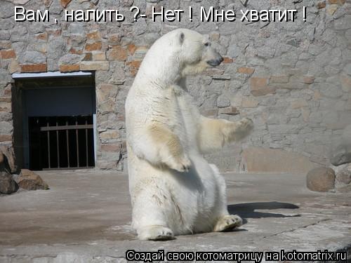 Вам , налить ?- Нет ! Мне хватит !... Котоматрица: Вам , налить ?- Нет ! Мне хватит !