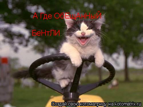 Котоматрица: А Где ОбЕщАнНыЙ БеНтЛИ