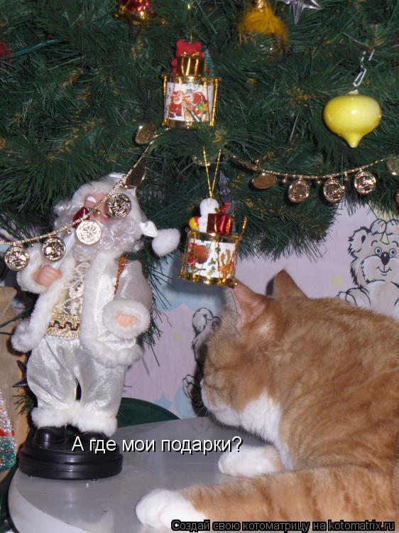 А где мои подарки?... Котоматрица: А где мои подарки?