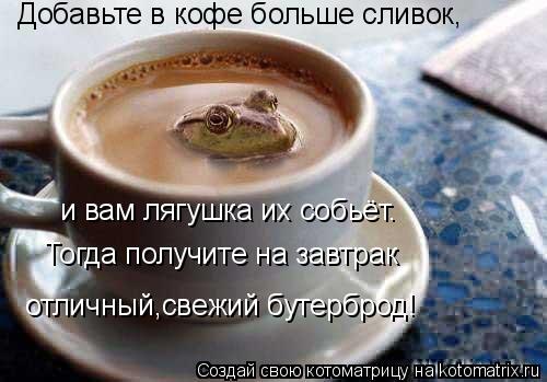 Котоматрица: Добавьте в кофе больше сливок, и вам лягушка их собьёт. Тогда получите на завтрак отличный,свежий бутерброд!