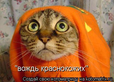 Котоматрица: "вождь краснокожих"