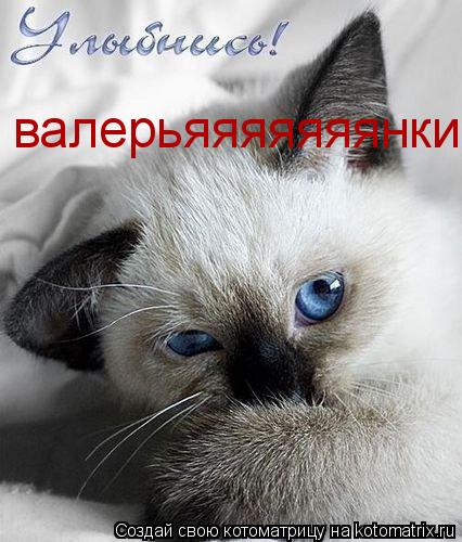 Котоматрица: валерьяяяяяяянки