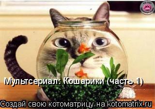 Мультсериал: Кошарики (часть 1)... Котоматрица: Мультсериал: Кошарики (часть 1)