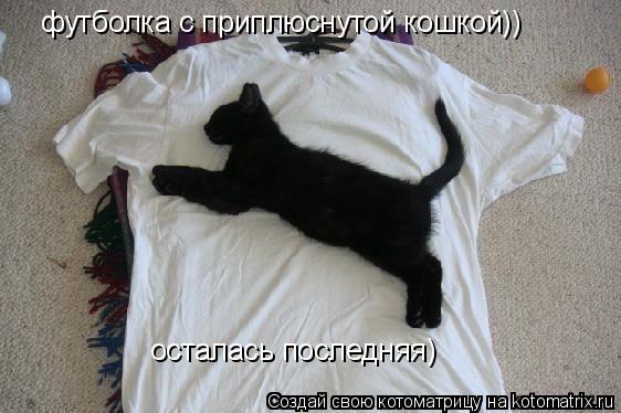 Котоматрица: футболка с приплюснутой кошкой)) осталась последняя)