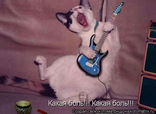 Какая боль!!! Какая боль!!!... Котоматрица: Какая боль!!! Какая боль!!!