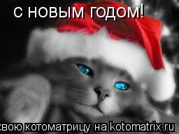 с новым годом!... Котоматрица: с новым годом!