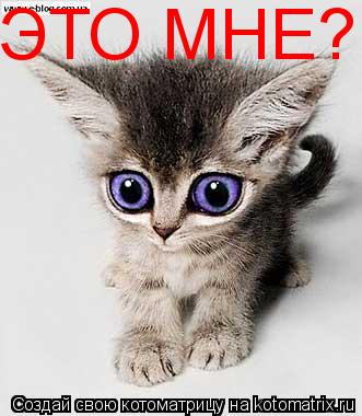 ЭТО МНЕ?!... Котоматрица: ЭТО МНЕ?!