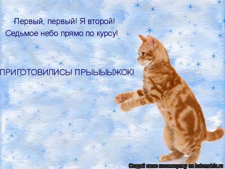 Первый, первый! Я второй! Седьмое небо прямо по курсу! ПРИГОТОВИЛИСЬ! ПРЫЫЫЫЖОК!... Котоматрица: Первый, первый! Я второй! Седьмое небо прямо по курсу! ПРИГОТОВИЛИСЬ! ПРЫЫЫЫЖОК!