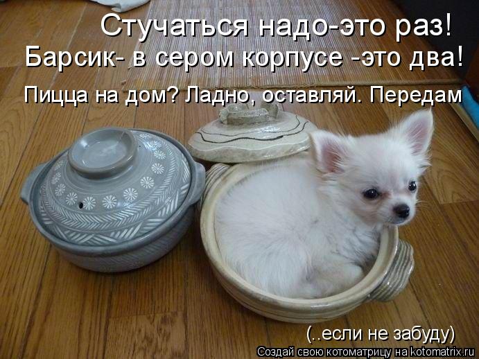 Стучаться надо-это раз! Барсик- в сером корпусе -это два! Пицца на дом? Ладно, оставляй. Передам (..е... Котоматрица: Стучаться надо-это раз! Барсик- в сером корпусе -это два! Пицца на дом? Ладно, оставляй. Передам (..если не забуду)