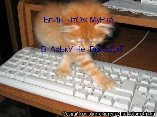 Котоматрица: БлИн  ЧтОж МуРка В  АсЬкУ Не  ВыХоДиТ