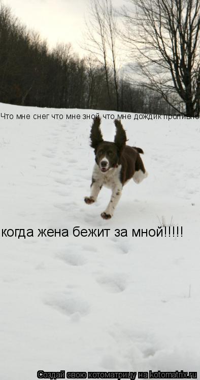 Что мне снег что мне зной что мне дождик проливной когда жена бежит за мной!!!!!... Котоматрица: Что мне снег что мне зной что мне дождик проливной когда жена бежит за мной!!!!!