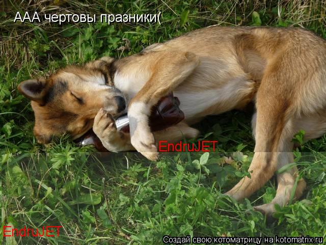 ААА чертовы празники( EndruJET EndruJET... Котоматрица: ААА чертовы празники( EndruJET EndruJET