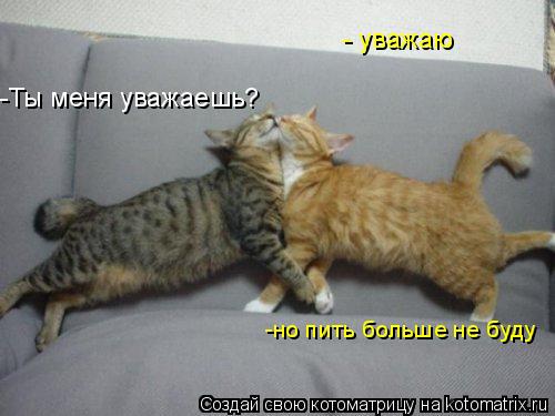 Котоматрица: -Ты меня уважаешь? - уважаю -но пить больше не буду