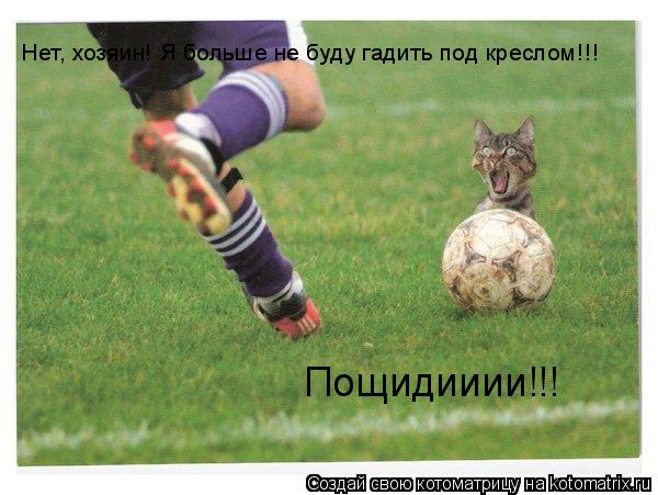 Котоматрица: Нет, хозяин! Я больше не буду гадить под креслом!!! Пощидииии!!!