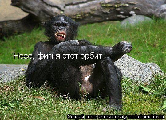 Неее, фигня этот орбит... Котоматрица: Неее, фигня этот орбит