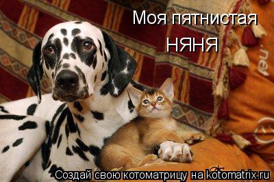 Моя пятнистая НЯНЯ... Котоматрица: Моя пятнистая НЯНЯ