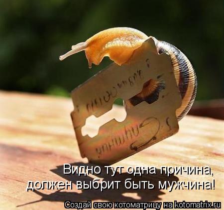 Котоматрица: Видно тут одна причина, должен выбрит быть мужчина!
