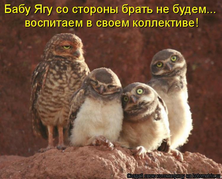 Бабу Ягу со стороны брать не будем... воспитаем в своем коллективе!... Котоматрица: Бабу Ягу со стороны брать не будем... воспитаем в своем коллективе!
