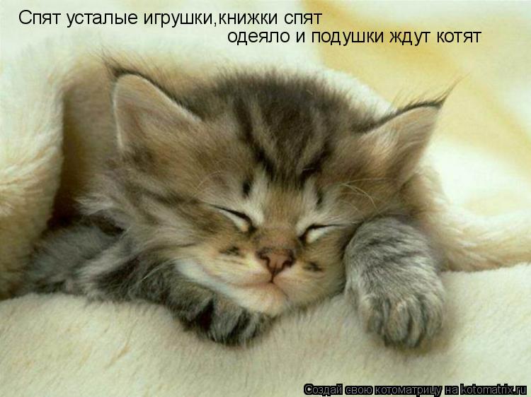 Котоматрица: Спят усталые игрушки,книжки спят одеяло и подушки ждут котят