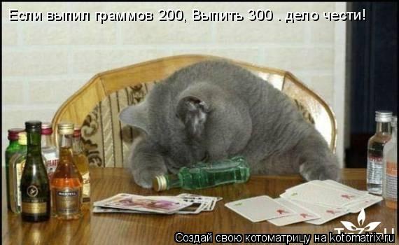 Котоматрица: Если выпил граммов 200, Выпить 300 — дело чести!