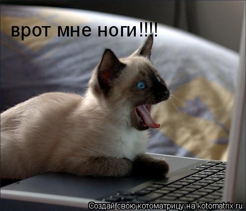 врот мне ноги!!!!... Котоматрица: врот мне ноги!!!!
